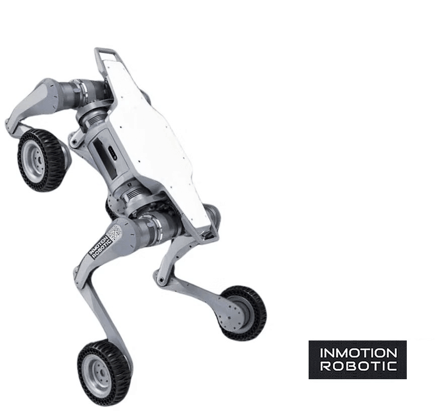InMotion_Robotic
